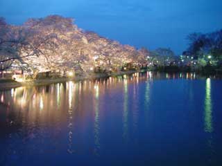 �痴�����̖��