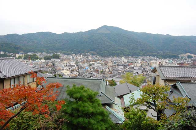 �啶���Ă�