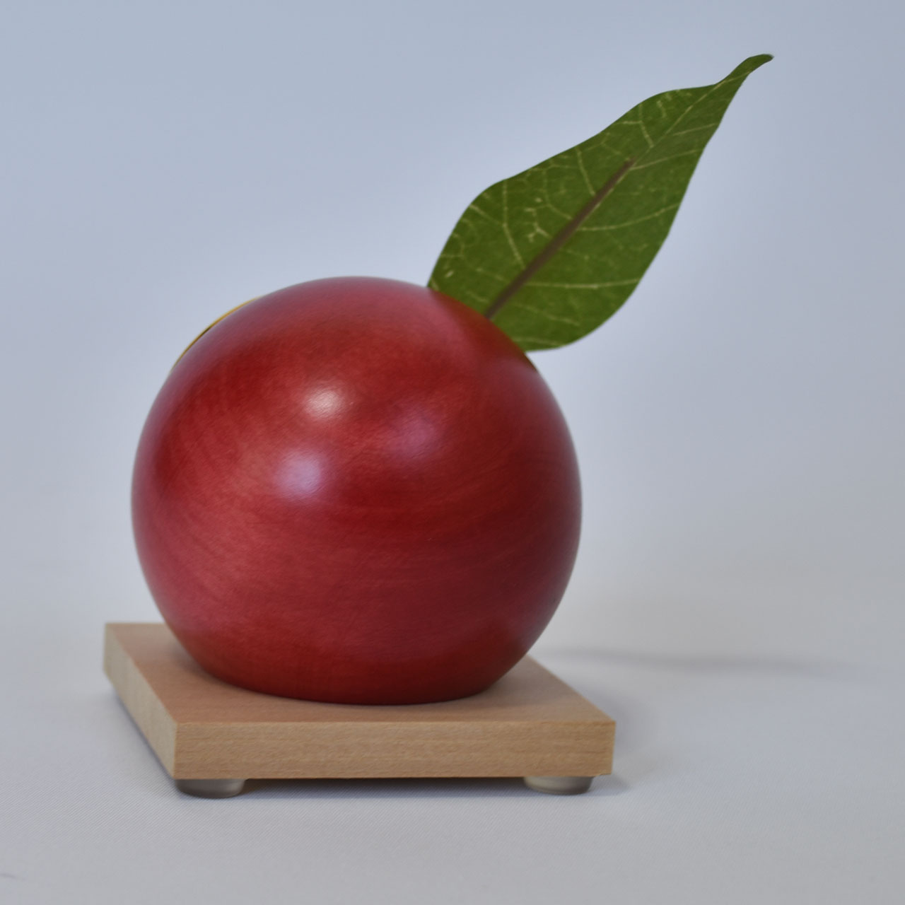 �����S���v