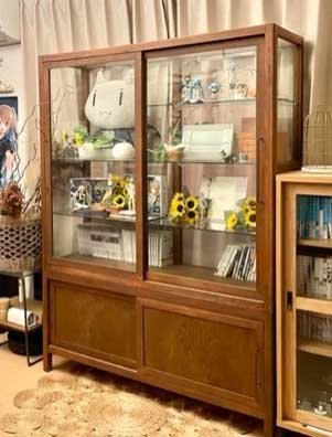 �R���N�V�����P�[�X